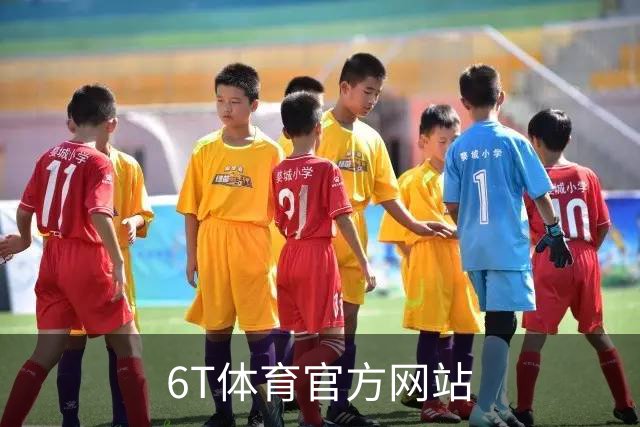 6T体育官方网站公司介绍